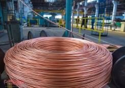 Beryllium Copper Spring Wire
